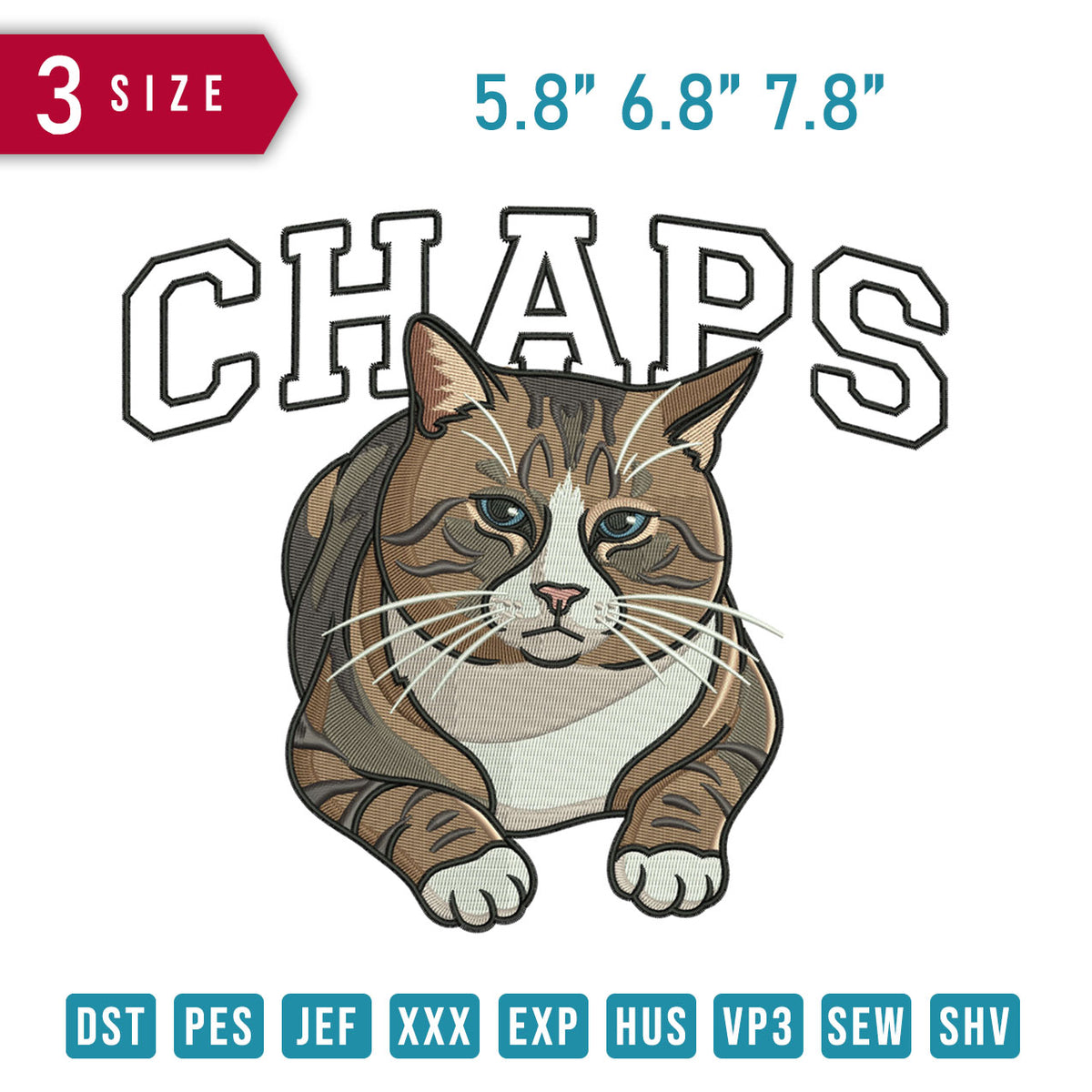 Chaps Cat