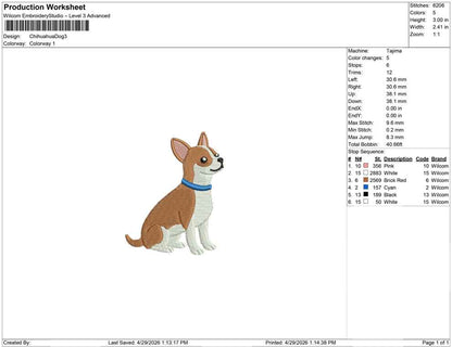 Chihuahua Dog