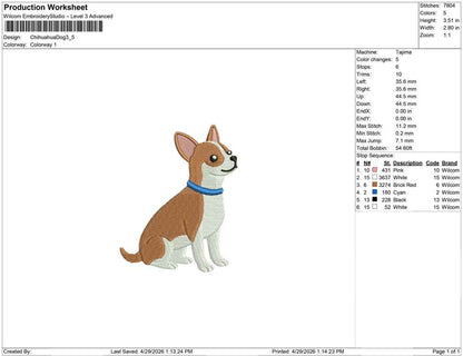 Chihuahua Dog