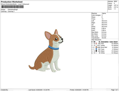 Chihuahua Dog