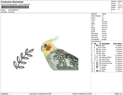 Cockatiel Bird