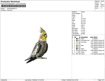 Cockatiel Bird B