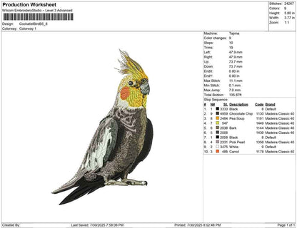 Cockatiel Bird B