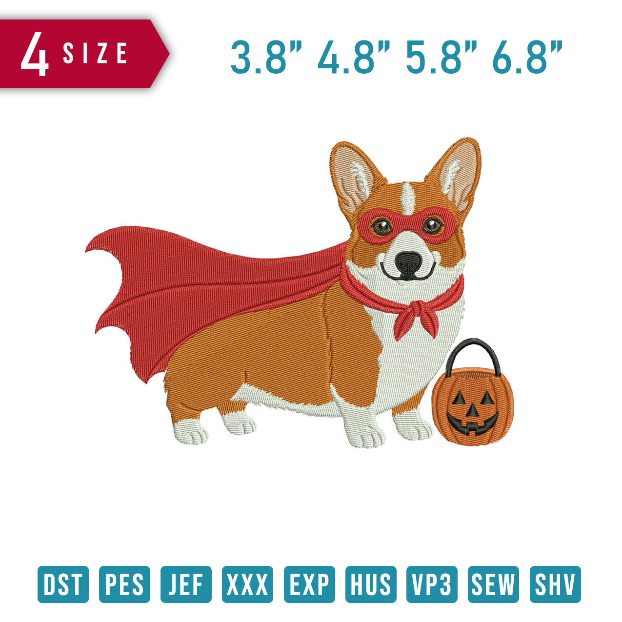 Corgi Dog Pumpkin B