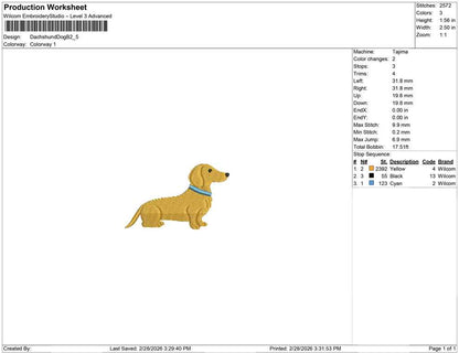 Dachshund Dog B