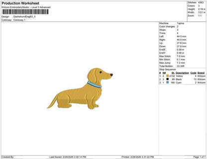 Dachshund Dog B
