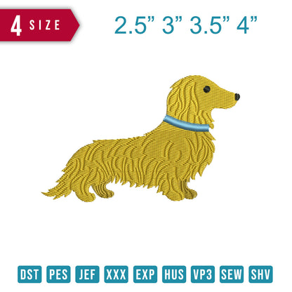 Dachshund Dog C