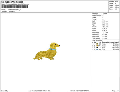 Dachshund Dog C