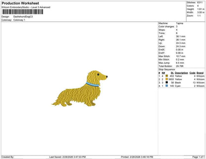 Dachshund Dog C