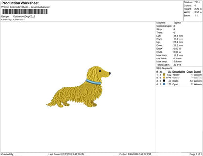 Dachshund Dog C