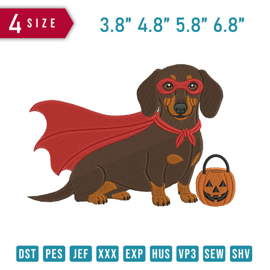 Dachshund Dog Pumpkin B.