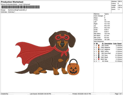 Dachshund Dog Pumpkin B.