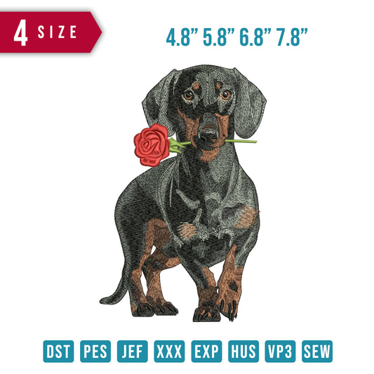 Dachshund With Rose