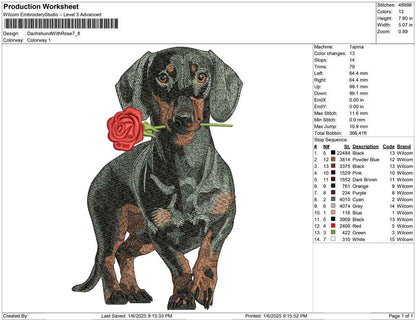 Dachshund With Rose