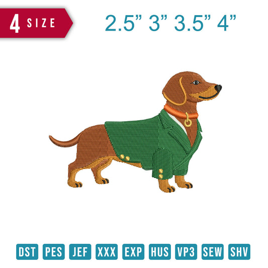 Dachsund In Green Shirt