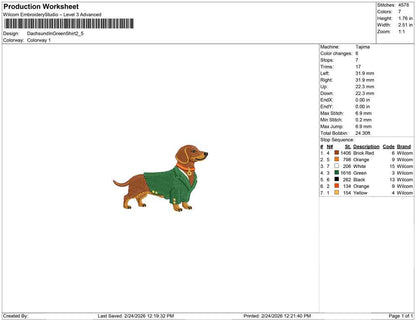 Dachsund In Green Shirt