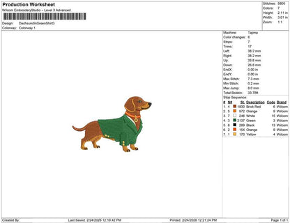 Dachsund In Green Shirt