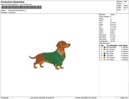 Dachsund In Green Shirt