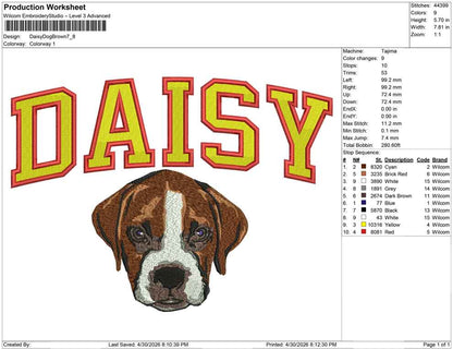 Daisy Dog Brown
