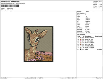 Deer Photo