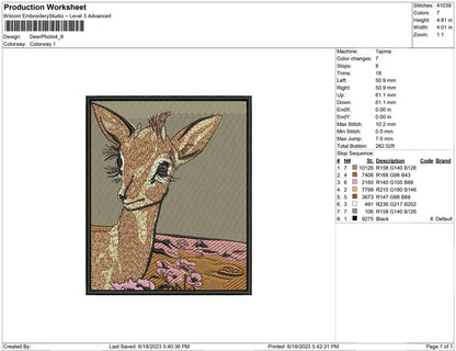 Deer Photo