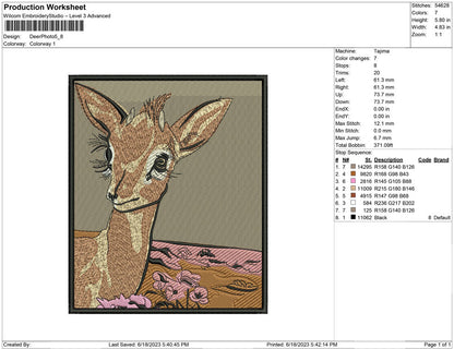 Deer Photo