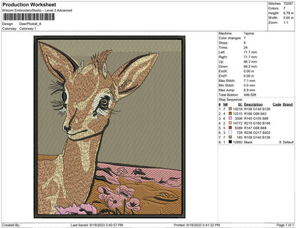 Deer Photo