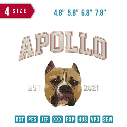 Dog Apollo