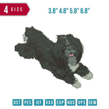 Dog black thick fur