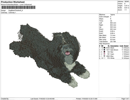 Dog black thick fur