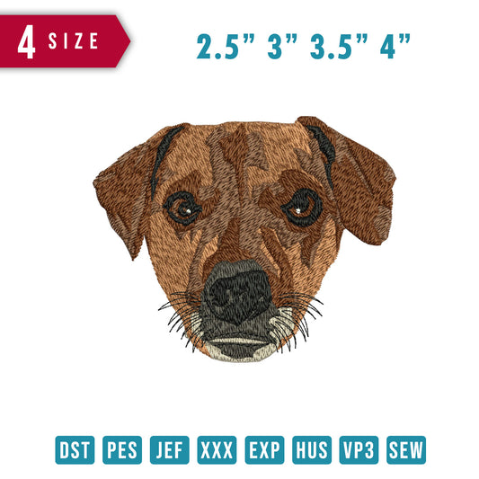 Dog Brown Face A