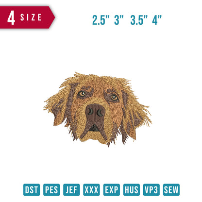 Dog Brown fur