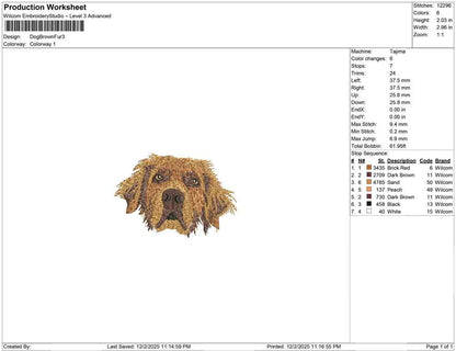 Dog Brown fur