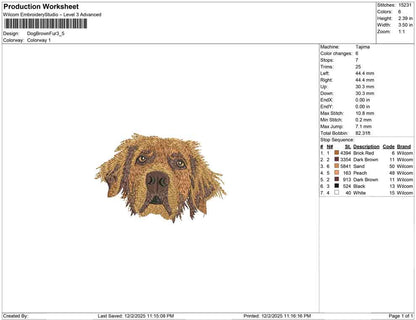 Dog Brown fur