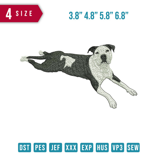 Dog Bw