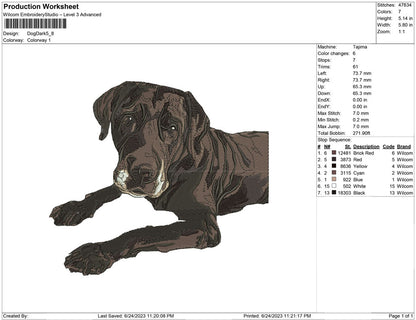 Dog dark