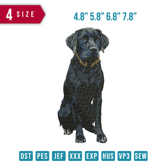 Dog Dark Blues