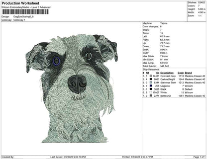 Dog Eye Glaring
