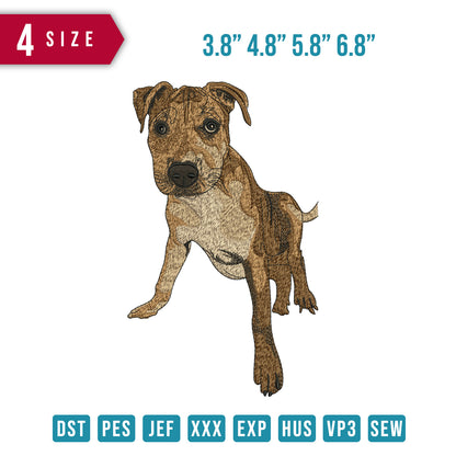 Dog F