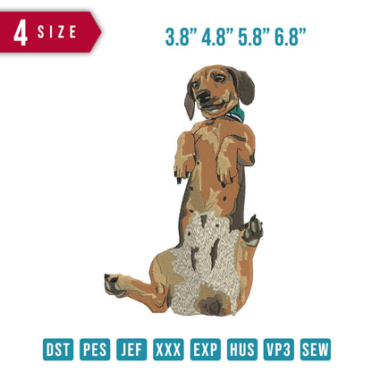 Dog Funny A