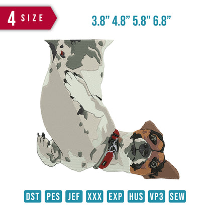Dog Funny B