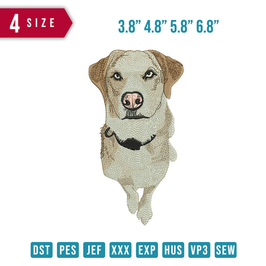 Dog Glance Standing