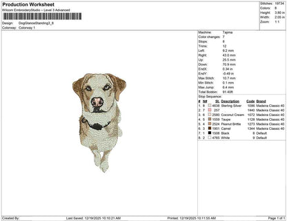 Dog Glance Standing
