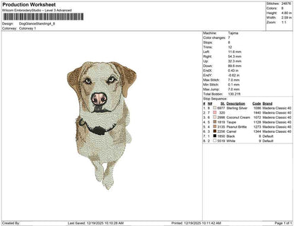 Dog Glance Standing