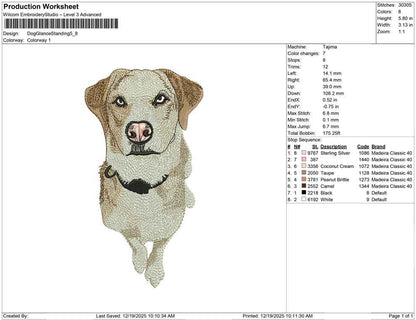 Dog Glance Standing