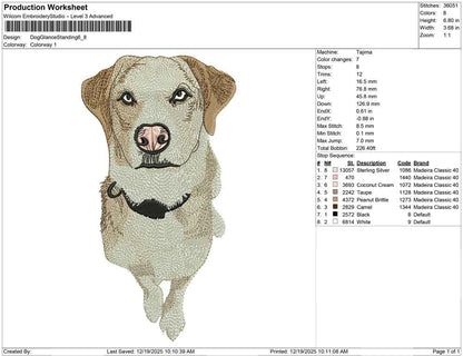 Dog Glance Standing