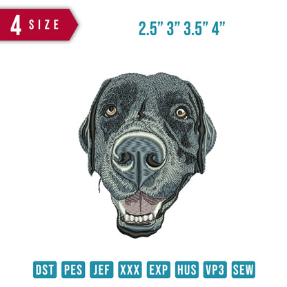 Dog Grey