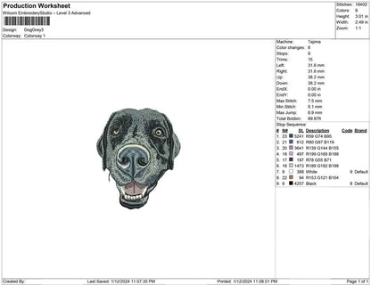 Dog Grey