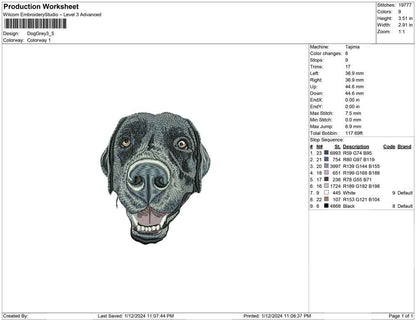 Dog Grey