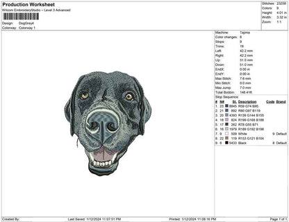 Dog Grey